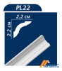 Плинтус потолочный Premium decor PL22, 22*22 мм, 2 м